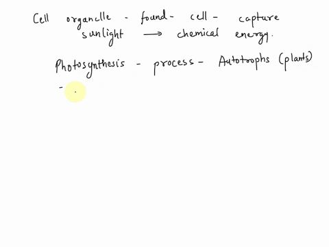 which-organelle-captures-the-energy-from-sunlight-and-converts-it-to-chemical-energy-found-in-which-cell-could-it-be-found-78532
