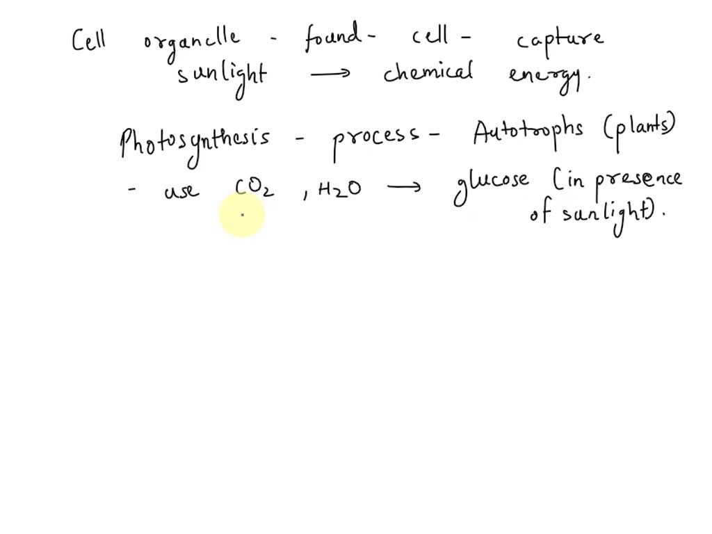 SOLVED Which organelle captures the energy from sunlight and converts