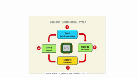 b-the-cpu-is-responsible-for-processing-instructionsone-stage-of-processing-instructions-is-the-decode-stagei-identify-the-two-other-stages-of-processing-instructions-72567