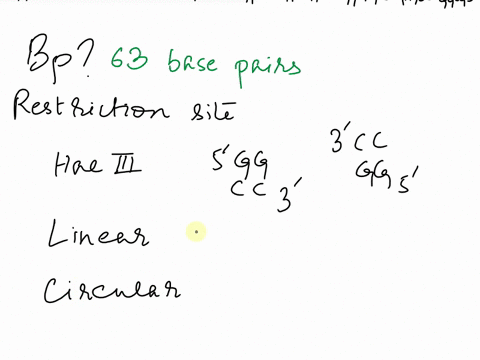 10-consider-the-following-dna-molecule-5-ccggggccaattggccgtaccgaattggccgaattccggccttggcctacgggctcgggccgc-3-3-ggccccggttaaccggcatggcttaaccggcttaaggccggaaccggatgcccgagcccggcg-5-how-many-base-p-60402