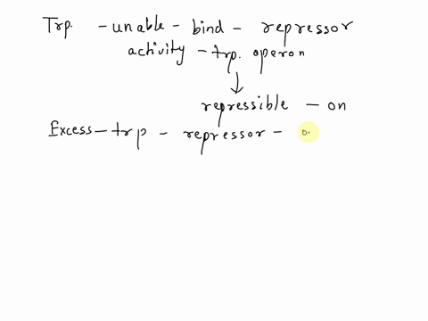 answer-the-following-parts-below-a-if-tryptophan-was-unable-to-bind-to-its-repressor-what-activity-would-you-expect-for-the-trp-operon-group-of-answer-choices-pick-1-increased-expression-of-92651