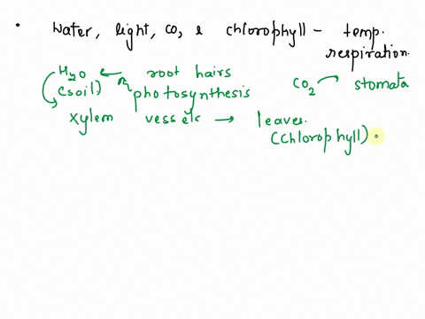 please-answer-the-following-questions-about-metabolism-in-plants-please-tell-me-what-each-does-in-photosynthesis-water-light-co2-and-chlorophyllhow-do-temperature-water-and-oxygen-affect-res-33207