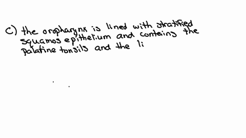 the-oropharynx-is-a-lined-with-stratified-columnar-epithelium-contains-the-lingual-tonsils-and-the-pharyngeal-tonsils-b-lined-with-pseudostratified-squamous-epithelium-contains-the-pharyngeal-tonsils