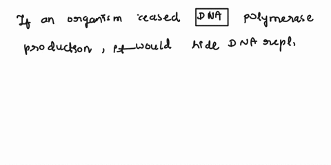 what-would-be-the-consequences-if-an-organism-stopped-producing-dna-polymerase-58794