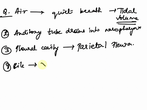 a-the-amount-of-air-that-is-normally-inspired-and-expired-with-each-quiet-breath-is-the-expiratory-reserve-volume-reserve-air-vital-capacity-tidal-volume-b-select-the-correct-statement-about-14213