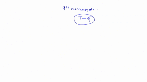in-the-first-mutation-you-simulated-a-point-mutation-by-changing-the-9th-nucleotide-in-your-strand-from-t-to-g-what-type-of-mutation-was-this-neutral-point-mutation-missense-point-mutation-n-34882