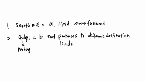 q12-the-smooth-endoplasmic-reticulum-a-is-the-site-where-lipids-destined-for-other-cellular-compartments-are-manufactured-b-produces-the-energy-needed-to-run-chemical-reactions-in-the-cell-c-converts