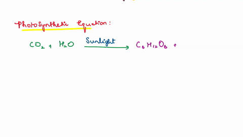 litem-17-part-a-what-are-the-final-products-of-photosynthesis-see-sece-atp-sugar-coz-and-02-02-sugar-adp-and-nadp-nadph-sugar-0z-and-water-02-water-and-sugar-submit-request-answer-provide-fe-41692