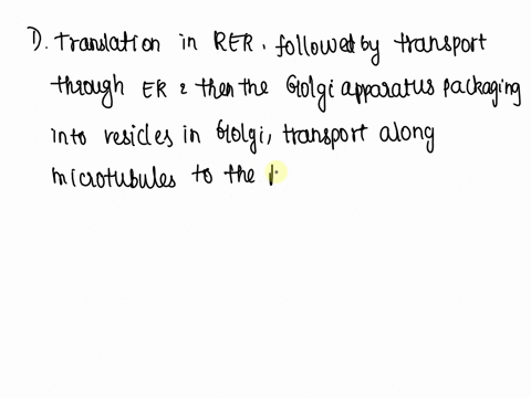question24-which-of-the-following-accurately-describes-the-route-a-secreted-protein-would-take-from-synthesis-to-secretion-translation-in-the-rough-er-rerfollowed-by-transport-through-the-er-52865