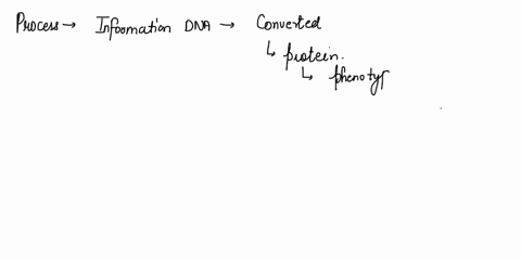 what-is-the-central-dogma-of-molecular-genetics-what-are-the-characteristics-12645