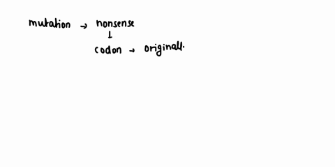 suppose-that-a-gene-has-a-mutation-that-changes-the-non-mutated-gene-this-new-one-nucleotide-compared-to-the-protein-produced-from-in-the-original-protein-contains-a-stop-codon-where-an-amin-14311