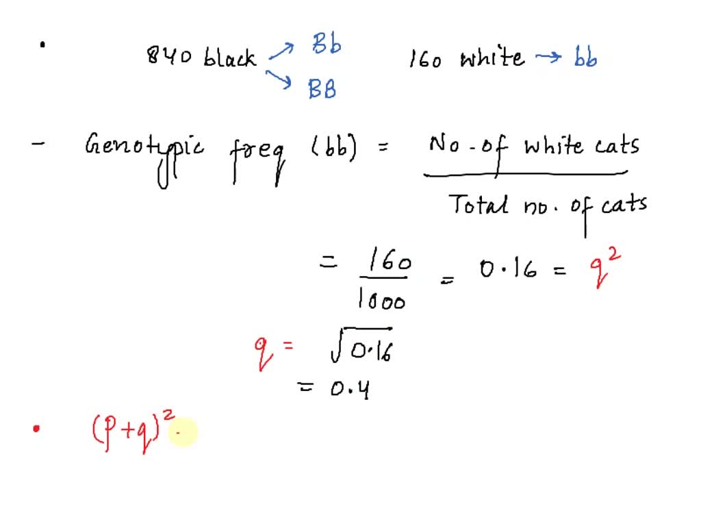 SOLVED: Practice Problem #2: A Population Of Cats Can Be Either Black ...