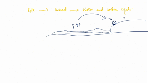 whoever-answers-this-in-2-mins-gets-brainliest-which-of-the-following-statements-best-describes-the-carbon-cycle-a-plants-store-carbon-as-a-product-of-photosynthesis-and-animal-eat-it-to-use-32704