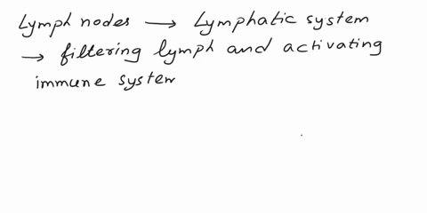 which-of-the-following-statements-is-true-of-the-lymphatic-system-answer-a-function-of-the-lymph-nodes-is-to-assist-in-activation-of-the-immune-system-the-pancreas-is-a-lymphatic-gland-the-l-83526