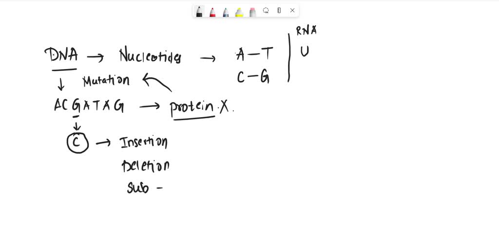 SOLVED: Two formal terms used to describe categories of mutational ...