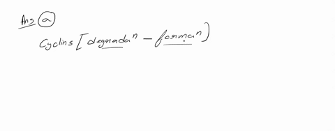 which-of-the-following-about-cdk-and-cyclins-during-the-cell-cycle-is-correct-the-amount-of-various-cyclin-proteins-changes-at-different-stages-of-the-cell-cycle-cyclin-proteins-are-kinases-41248