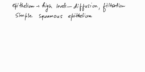 1-what-type-of-epithelium-would-be-most-suited-for-high-levels-of-diffusion-and-filtration-multiple-choice-simple-squamous-stratified-squamous-pseudostratified-transitional-stratified-column-28685