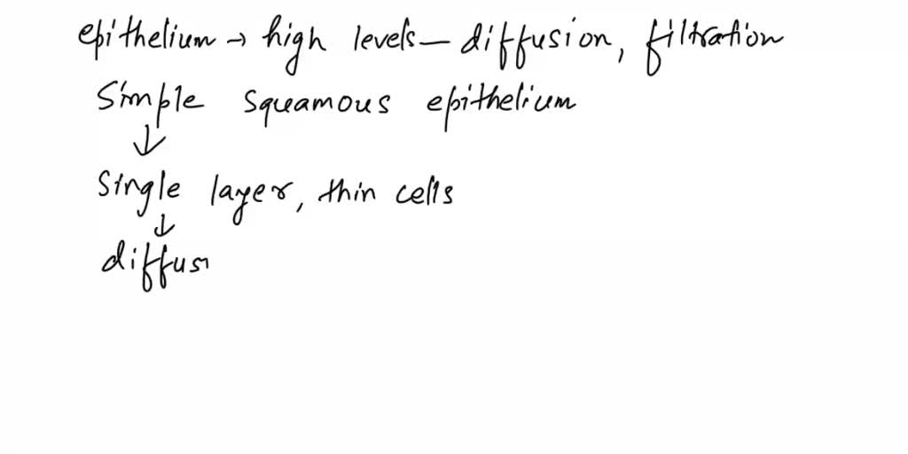 SOLVED What type of epithelium would be most suited for high levels of