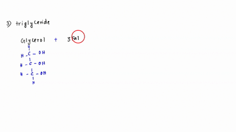 please-type-of-out-answer-thank-you-diagram-a-generalized-amino-acid-label-the-amino-and-carboxyl-groups-diagram-the-formation-of-a-peptide-linkage-diagram-the-structure-of-a-triglyceride-ho-60801