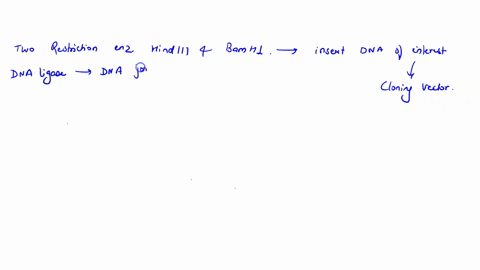 this-cloning-vector-contains-an-origin-of-replication-t0-ensure-that-this-vector-can-be-replicated-inside-the-cell-we-learned-about-origins-of-replication-in-modules-and-9-an-ampicillin-resi-72716