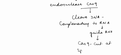 all-of-the-following-are-potential-limitations-for-using-crispr-gene-editing-to-treat-disease-in-humans-except-if-all-cells-in-the-individual-have-the-gene-edit-including-the-persons-germ-ce-65032