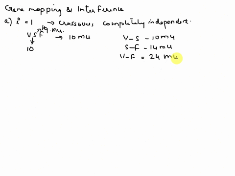 515-the-genes-for-vermilion-v-eyes-sable-s-body-color-and-forked-f-bristles-are-on-the-x-chromosome-of-drosophila-melanogaster-they-map-in-the-order-vsf-with-10-map-units-between-v-and-s-and-49315