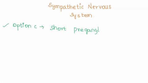 the-sympathetic-nervous-system-a-is-always-excitatory-b-innervates-only-tissues-concerned-with-prote-10157