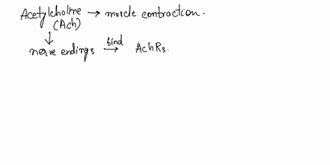 1230-synapses-2-question-9-unanswered-choose-the-signal-transduction-mechanism-used-by-acetylcholine-to-initiate-skeletal-muscle-contraction-lonotropic-receptor-tyrosine-kinase-receptor-g-pr-71924