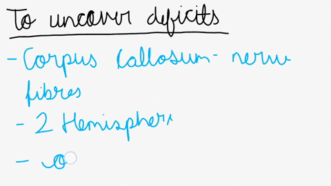 what-sensory-system-was-used-to-uncover-the-deficits-induced-by-cutting-the-corpus-callosum-split-brain-what-about-this-sensory-system-allowed-for-this-this-question-is-for-my-neuroscience-c-88235