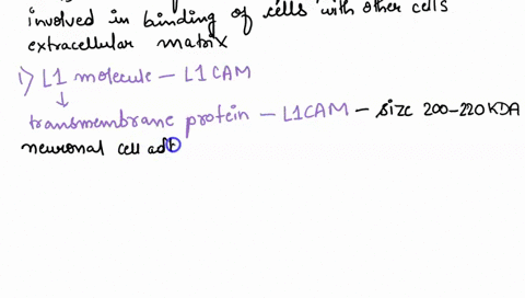 cell-adhesion-can-often-be-blocked-by-treating-cells-with-specific-agents-which-of-the-following-substances-agents-would-be-expected-to-interfere-with-cell-adhesion-mediated-by-the-molecules-21693