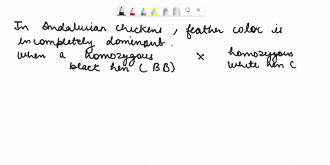 in-andalusian-chickens-feather-color-is-an-incomplete-dominant-trait-a-cross-between-a-homozygous-black-hen-and-homozygous-white-rooster-results-in-chicks-with-blue-plumage-what-would-the-ge-78592