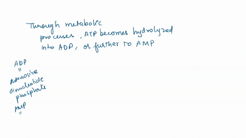 atp-is-essential-for-organisms-because-it-provides-energy-to-cells-how-does-atp-provide-this-energy-39522