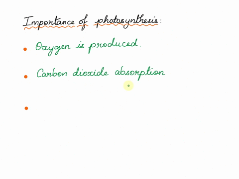 why-is-photosynthesis-important-for-life-on-earth-76907