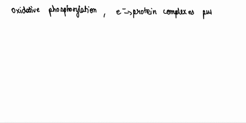 in-oxidative-phosphorylation-electrons-are-passed-from-one-electron-carrier-to-another-the-energy-released-is-used-to-__________-a-generate-large-amounts-of-nadh-and-fadh2-b-synthesize-carbo-23803