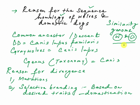 explain-the-reason-why-the-nuclear-dna-of-wolves-and-domestic-dogs-have-a-very-high-degree-of-sequence-homology-10516