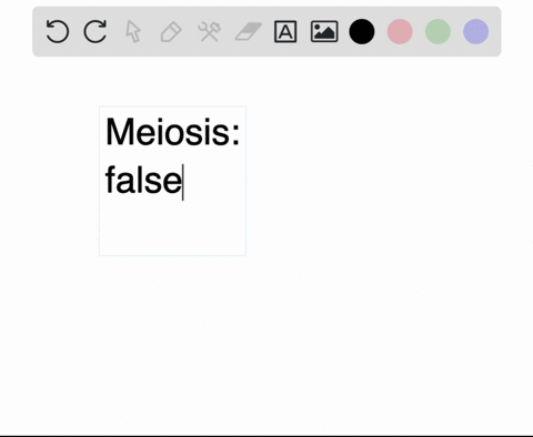 question-10-the-daughter-cells-produced-by-meiosis-have-both-from-each-homologous-maternal-and-paternal-chromosome-pair-true-false-33206