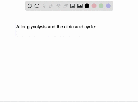 after-glycolysis-and-the-citric-acid-cycle-most-of-the-energy-from-the-original-glucose-molecule-is-stored-in-acetyl-coa-nadh-pyruvate-nad-18376
