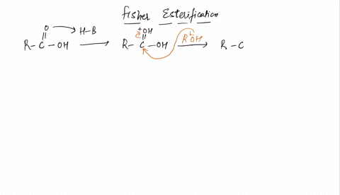 which-of-the-following-occurs-during-fisher-esterification-a-the-oh-from-the-carboxylic-acid-and-the-h-from-the-oh-of-the-alcohol-are-eliminated-as-water-b-the-oh-from-the-alcohol-and-the-h-50905