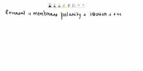 sample-multiple-choice-question-6-once-an-action-potential-is-triggered-the-first-major-chemical-change-is-reversal-of-the-membrane-polarity_-with-the-interior-of-the-cell-becoming-positive-11163