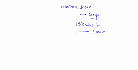 which-of-the-following-is-not-a-macronutrient-carbon-hydrogen-magnesium-iron-which-of-the-following-elements-is-found-in-the-greatest-amount-in-prokaryotes-nitrogen-oxygen-carbon-potassium-82566