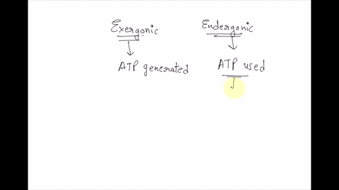 identify-the-statements-as-true-t-or-false-f-if-false-correct-the-statement-during-glycolysis-glucose-is-anabolized-in-the-cyloplasm-to-get-partially-oxidized-during-glycolysis-atp-is-formed-01114