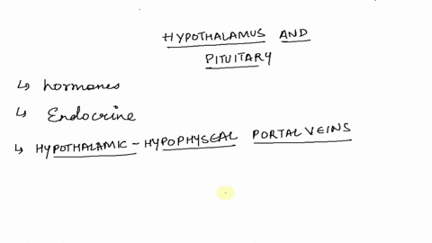 question-19-enhanced-by-oxytocin-this-an-cxample-of-utenin-_-muscies-mammalian-labor-and-delivery-contraction-during-negative-feedback-system-hormone-that-e-nvnlvedi-posillve-feedbuck-loop-h-20837