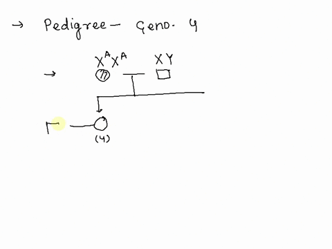 ifyou-assume-that-the-above-pedigree-is-tracing-a-sex-linked-trait-what-is-the-possible-genotype-of-individual-4-xaxa-xaxa-xaxa-or-xaxa-xaxa-xay-99853