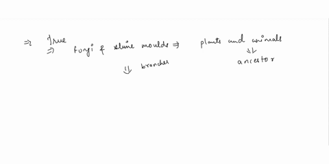 which-of-the-following-statements-is-true-a-fungi-and-slime-molds-are-more-closely-related-than-plants-and-animals-b-branching-points-stand-for-the-common-ancestor-of-two-diverging-groupsc-b-43696