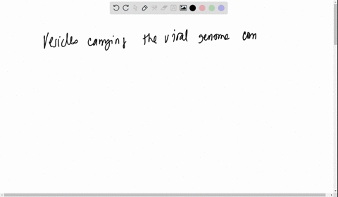 sars-cov-2-virions-are-made-by-the-host-cell-machinery-which-is-an-important-part-of-this-process-make-sure-you-have-the-most-recent-version-of-lec09-or-have-read-the-article-that-was-discus-58772