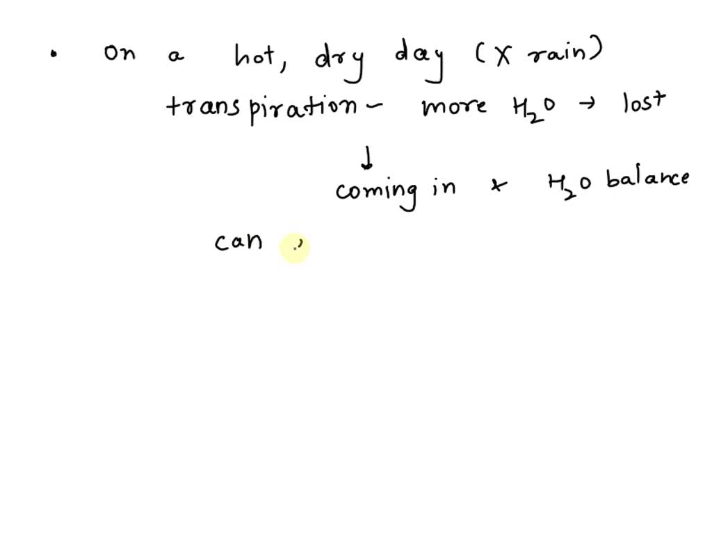 SOLVED What causes a plant to wilt? A. The cytoplasm too