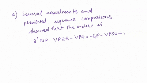 5-in-the-story-so-far-ain-what-order-in-the-ebola-virus-genome-did-you-place-the-genes-bhow-did-each-of-the-ebola-virus-weapons-vp35-vp24-and-gpsgp-play-a-role-in-the-game-cwhat-weapons-did-29335