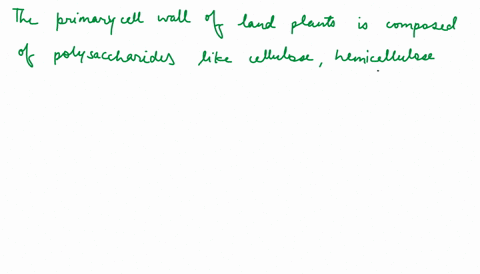 bacterial-cell-walls-are-primarily-composed-of-which-of-the-following-a-phospholipid-b-protein-c-car-3449