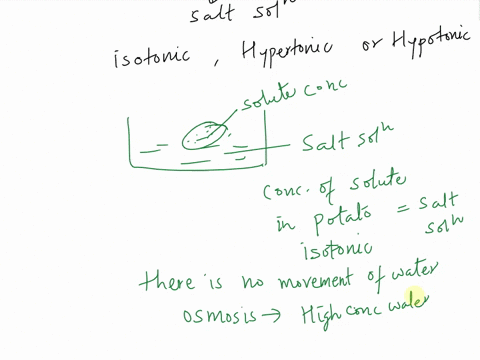 at-what-concentration-was-the-salt-solution-isotonic-hypertonic-or-hypotonic-to-the-potato-piece-explain-how-you-determined-this-44336