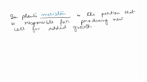question-44-what-areas-of-the-plant-are-responsible-for-producing-new-cells-for-added-growth-internodes-all-areas-of-the-plant-divide-when-necessary-growth-occurs-throughout-the-embryo-then-98901